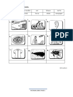 PAT practice test for Year 2 students