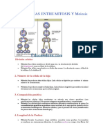 Diferencias Entre Mitosis y Meiosis