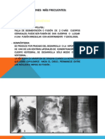 Columna Vertebral 2 (27513)