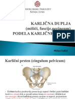 Karlicna Duplja, Podela