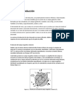 Motor de Induccion