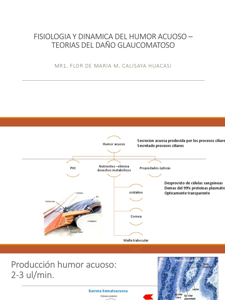 Fisiología del Humor Acuoso y Glaucoma | PDF | Colágeno | Hueso