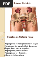 Sistema Urinário