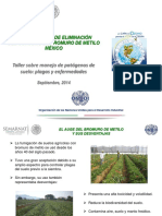 1.1 Plan Nacional Del Retiro de Bromuro en Mexico (Urbina)