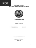 Download Coccidiosis Pada Sapi by Amiey Jackson Clluu SN367956997 doc pdf