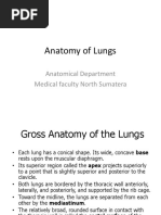 Anatomy and Physiology of Lung | PDF | Lung | Respiratory Tract