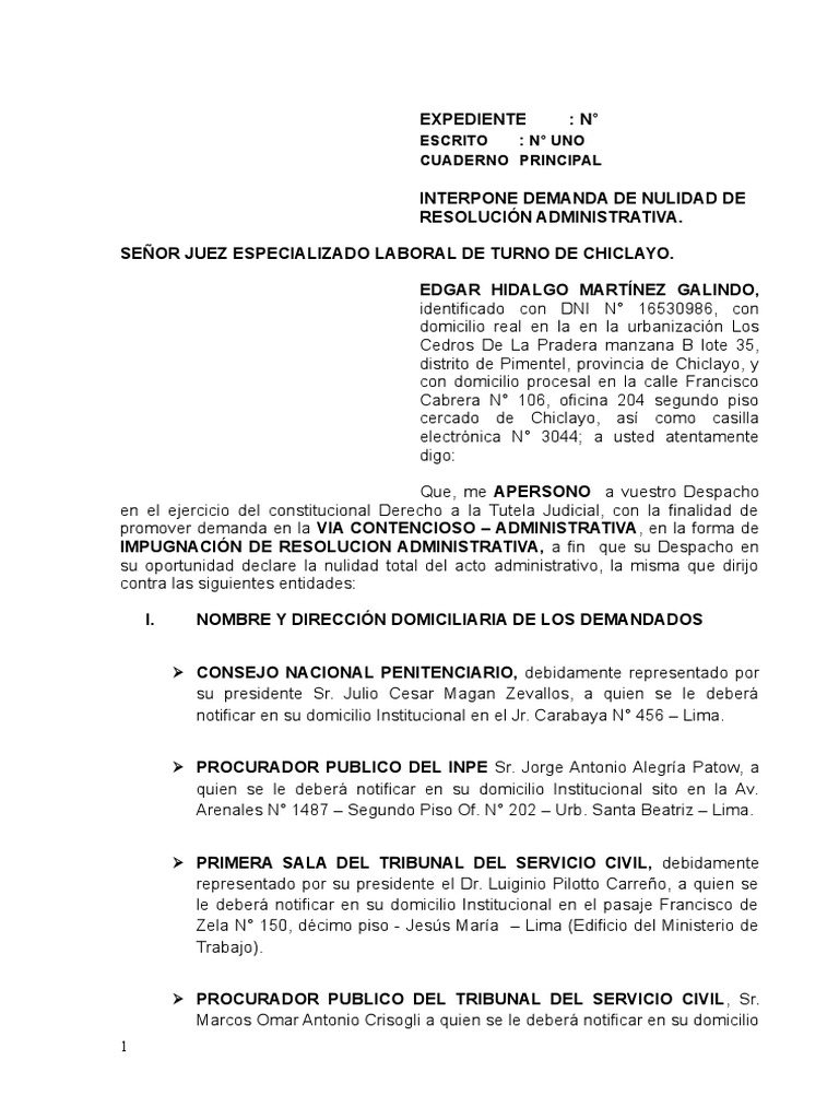 Descubrir 62+ imagen modelo de demanda contencioso administrativo nulidad de resolucion municipal