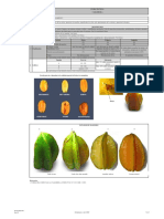 FT 21 Carambola