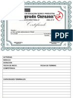 Certificado de Capacitacion 2017 - Completo PDF