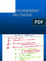 L'ENVIRONNEMENT Deltaique