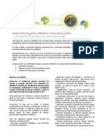 Smart metering_public_Romania.pdf