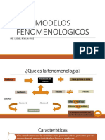 Modelos Fenomenologicos