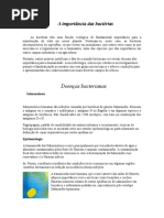 A importancia das Bacterias.doc