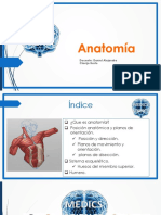 Clase Introducción A La Anatomía