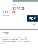 Clase - Comunicación Celular-USMP - MEDICINA