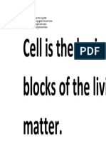 Cell is the Basic Building Blocks of the Living Matter