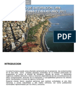 Estudio de Saturacion 2012.pdf
