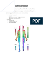 Dermatomas y Miotomas