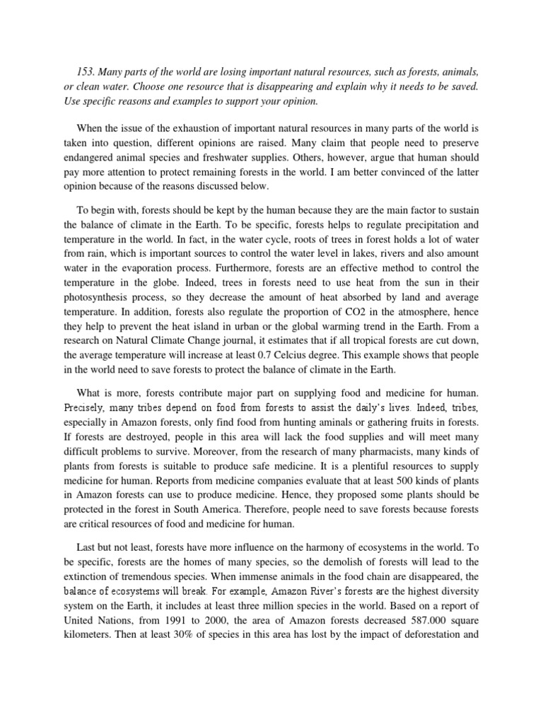 Independent essay example image