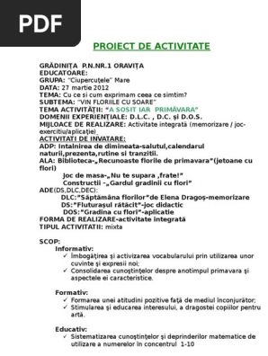 99178308 Proiect Didactic Integrat Doc