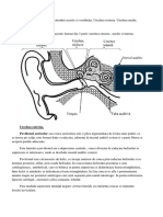 Sistemul Periferic Al Analizatorului Acustic Si Vestibular