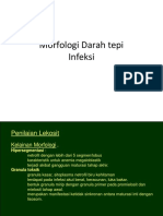 Morfologi Darah Tepi Infeksi