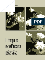 TEMPO na psicanálise.pdf