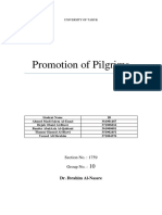 Promotion of Pilgrims