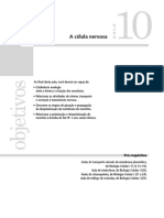 Aula 10 PDF