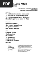 Download THE WONDER OF YOUR LOVE - Spanish Official Translation by robertquintana SN36802300 doc pdf