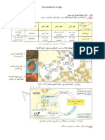 نشأة حميلة بيئية PDF