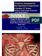 29 - Makaryus - Ct Anatomy (1)