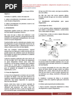 Fh_base Apostila - Afogchqeletrico