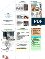 leaflet-ggk-ckd.doc