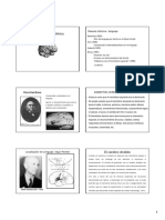 LateralidadNP (Modo de Compatibilidad)