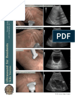 Right Upper Quadrant / Kidney / Morrison'S Pouch: 2010 American College of Surgeons