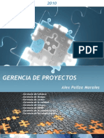 Gerencia de Proyectos Cap I - Alex Paliza Morales