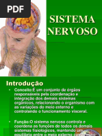 Seminário Sistema Nervoso Novo.