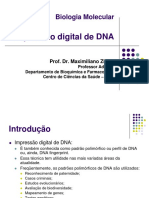 Aula 8 - Impressão Digital de DNA- RFLP e RAPD
