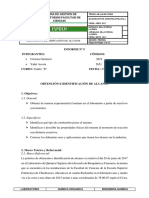 Informe 4