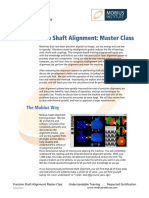 Alignment Master Class 2 Day PDF