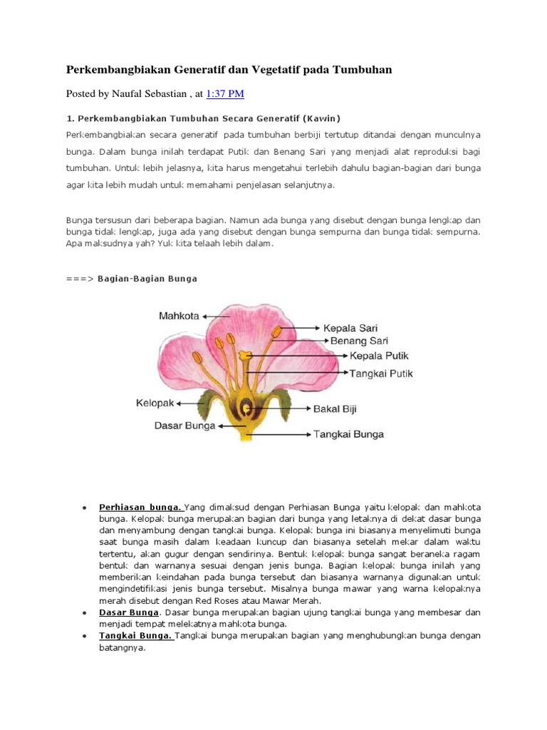 Perkembangbiakan Generatif Dan Vegetatif Pada Tumbuhan Perkembangbiakan Generatif Dan Vegetatif Pada Tumbuhan