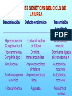 Alteraciones genéticas del ciclo de la urea: enzimas y herencia