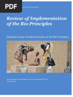 1127rioprinciples.pdf