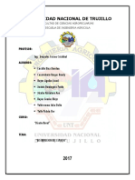 proyecto porcinos.docx