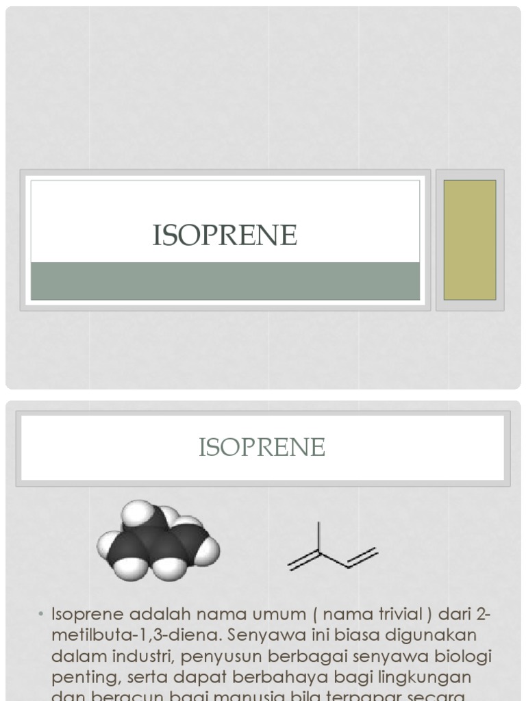 Struktur dan Sifat Isoprene | PDF
