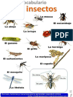 Los Insectos PDF