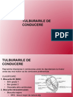 Tulb de conducere_2017.pdf