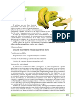 platano 2.pdf