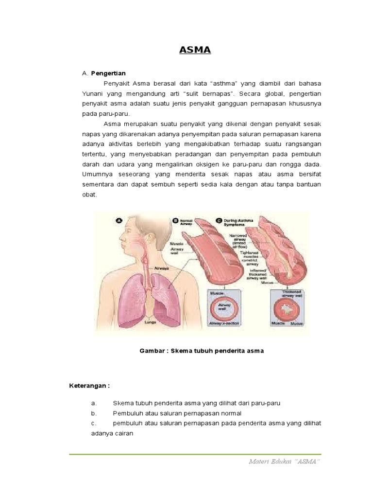 Panduan Asma untuk Orang Tua | PDF
